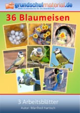 Blaumeisen.pdf